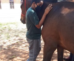 WhatsApp-Image-2020-10-26-at-09.30.26