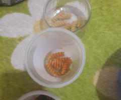 WhatsApp-Image-2020-10-26-at-19.29.47