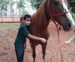 WhatsApp-Image-2020-10-26-at-21.18.05