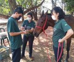 WhatsApp-Image-2020-10-27-at-18.20.39