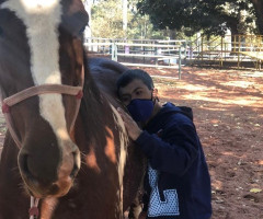 Atividades e Atendimentos mês agosto 2021