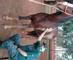 WhatsApp-Image-2022-01-03-at-13.19.46-3-Small