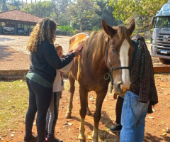 20230830_094652-Pequeno