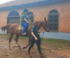 20221207_085331-Medio