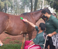 20221207_085421-Medio