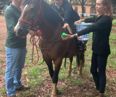 20221207_091206-Medio