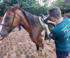 20221208_144246-Medio