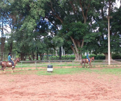 20221208_145622-Medio