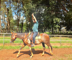 20221208_150713-Medio