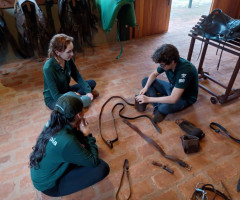 IMG-20221212-WA0089-Medio