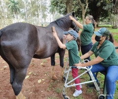 IMG-20221215-WA0016-Medio