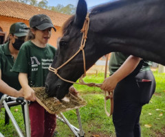 IMG-20221215-WA0019-Medio