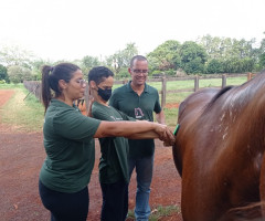 IMG-20221215-WA0032-Medio