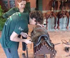 IMG-20221215-WA0035-Medio