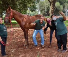 IMG-20221221-WA0026-Medio