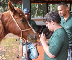 Atividades e Atendimentos mês de junho 2023