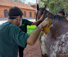 WhatsApp-Image-2022-01-03-at-13.39.21-1-Small