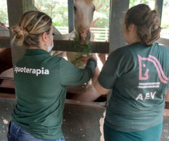 WhatsApp-Image-2022-01-03-at-13.39.21-Small