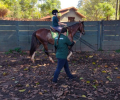 WhatsApp-Image-2022-01-03-at-13.39.22-3-Small