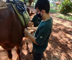 WhatsApp-Image-2022-01-03-at-13.39.22-4-Small