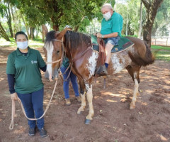 WhatsApp-Image-2022-01-03-at-13.39.22-Small