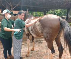 WhatsApp-Image-2022-01-03-at-13.39.23-1-Small