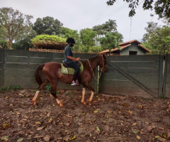 WhatsApp-Image-2022-01-03-at-13.39.23-2-Small