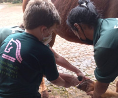 WhatsApp-Image-2022-01-03-at-13.39.06-1-Small