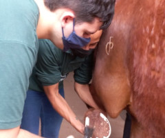 WhatsApp-Image-2022-01-03-at-13.39.06-Small