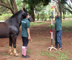 WhatsApp-Image-2022-01-03-at-13.39.07-3-Small