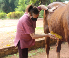 WhatsApp-Image-2022-01-03-at-13.39.09-1-Small