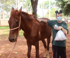 WhatsApp-Image-2022-01-03-at-13.39.10-1-Small