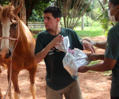 WhatsApp-Image-2022-01-03-at-13.39.13-1-Small