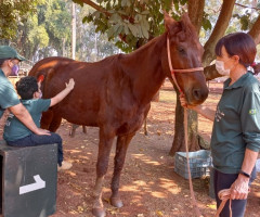 WhatsApp-Image-2022-01-03-at-13.19.44-1-Small