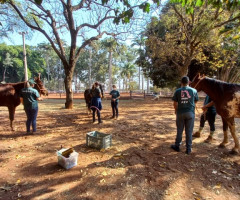 WhatsApp-Image-2022-01-03-at-13.19.44-2-Small