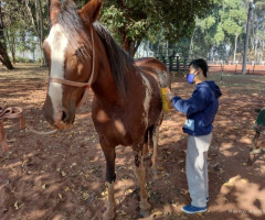 WhatsApp-Image-2022-01-03-at-13.19.46-2-Small