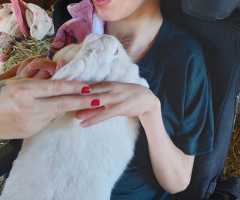 WhatsApp-Image-2021-04-15-at-16.04.55-2