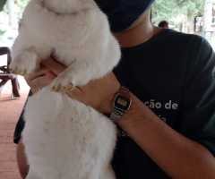 WhatsApp-Image-2021-04-15-at-16.04.55-3