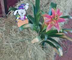 WhatsApp-Image-2021-04-15-at-16.04.55