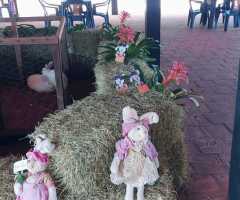 WhatsApp-Image-2021-04-15-at-16.04.56-1