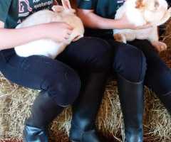 WhatsApp-Image-2021-04-15-at-16.04.56-3