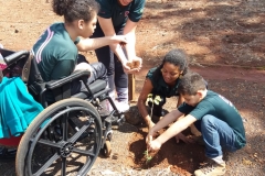 WhatsApp Image 2018-09-21 at 13.46.45