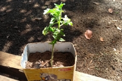 WhatsApp Image 2018-09-21 at 13.57.27