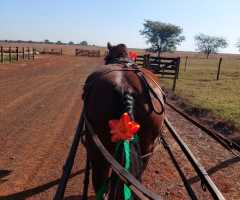 WhatsApp-Image-2022-07-01-at-14.06.54-1