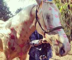 WhatsApp-Image-2022-07-01-at-14.06.57-2