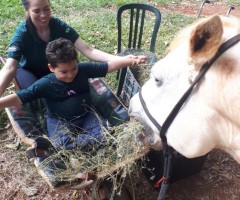 WhatsApp-Image-2020-07-02-at-14.51.01-2-Small