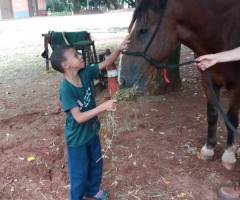 WhatsApp-Image-2020-07-02-at-14.51.02-3-Small