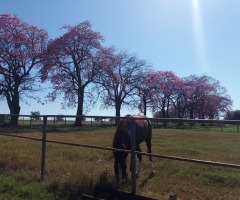 WhatsApp-Image-2020-05-18-at-17.40.08