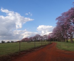 WhatsApp-Image-2020-05-18-at-17.46.41-1