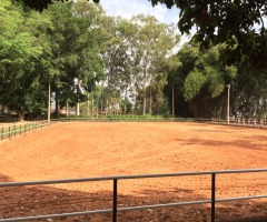 WhatsApp-Image-2020-05-18-at-17.46.42